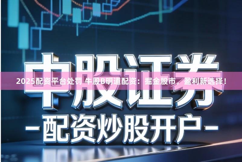 2025配资平台处罚 牛股B明道配资：掘金股市，盈利新选择！