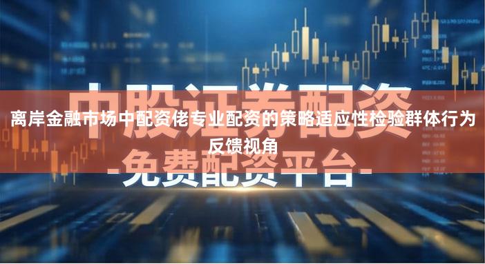 离岸金融市场中配资佬专业配资的策略适应性检验群体行为反馈视角