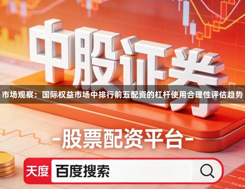 市场观察：国际权益市场中排行前五配资的杠杆使用合理性评估趋势