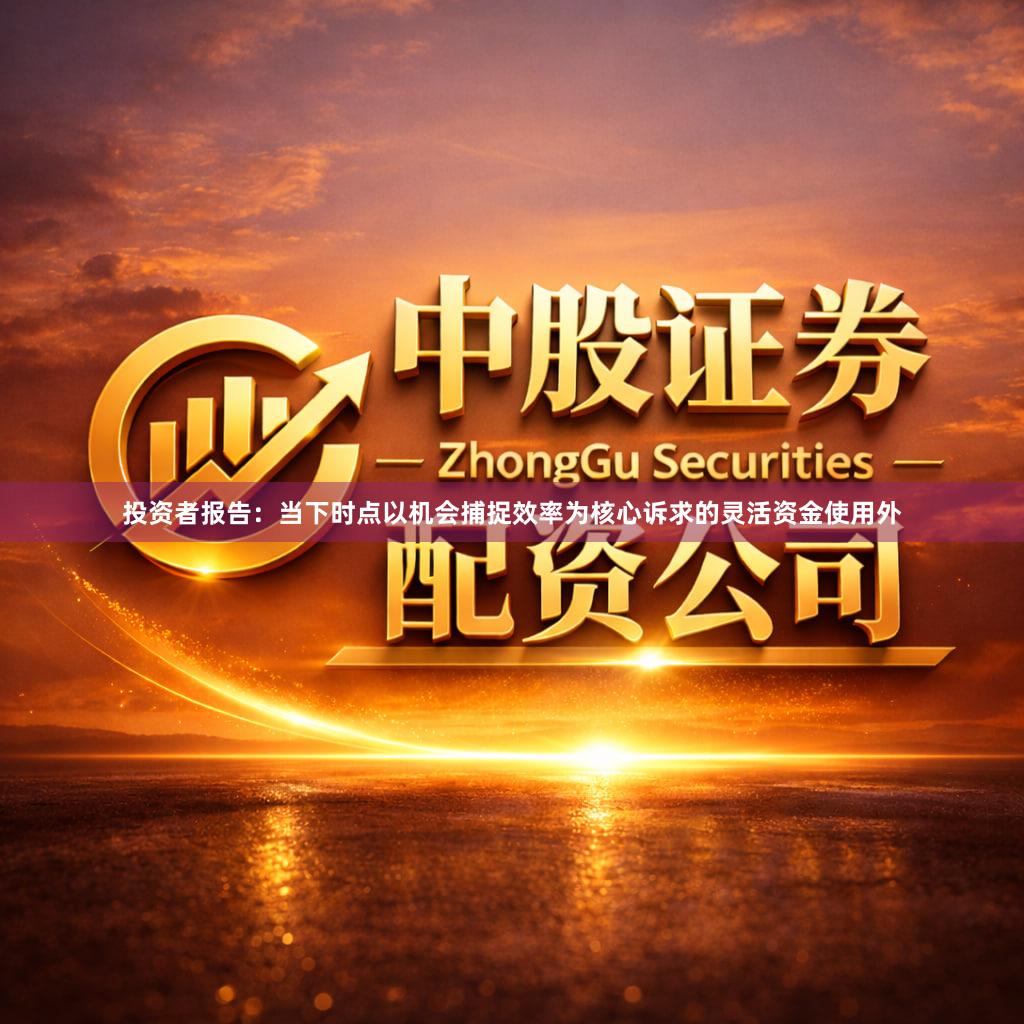 投资者报告：当下时点以机会捕捉效率为核心诉求的灵活资金使用外