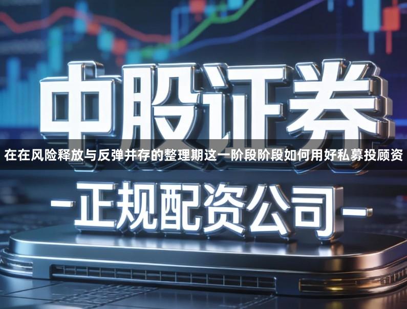 在在风险释放与反弹并存的整理期这一阶段阶段如何用好私募投顾资