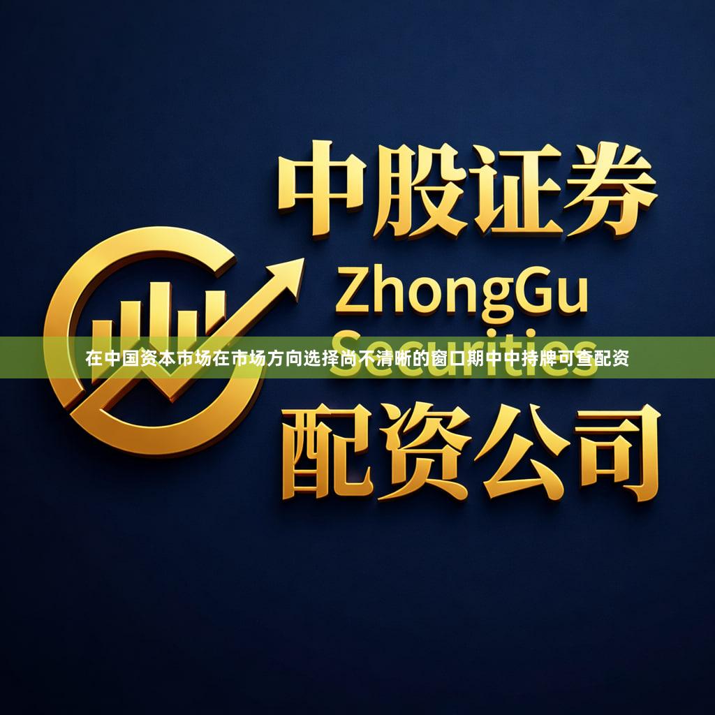 在中国资本市场在市场方向选择尚不清晰的窗口期中中持牌可查配资